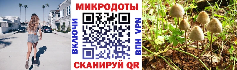 площадка формула  Чухлома  Псилоцибиновые грибы мухоморы 
